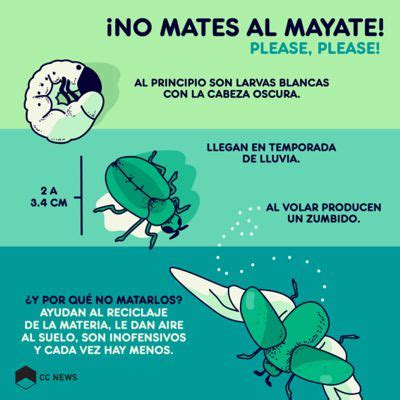 Mayates slang. Things To Know About Mayates slang. 